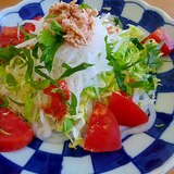 ヘルシー！サラダうどんこんにゃく